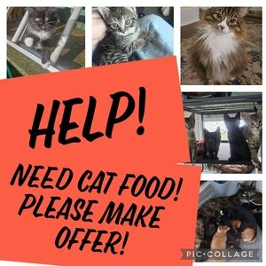 Kitten season is here! Help!